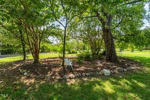 A white metal chair sits on a mulched area under large leafy trees, surrounded by a border of rocks, with green grass and a road visible in the background.