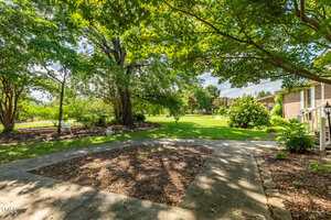 A shaded patio area with concrete paths and mulch beds is surrounded by green grass, large trees, and a brick house on the right side under a sunny sky.