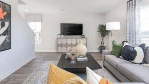 A modern living room with a gray sofa, patterned pillows, a black coffee table with decorative objects, a TV on a wooden console, a large plant, and light-colored walls with windows and curtains.