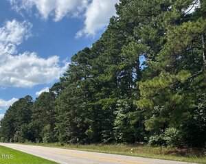 A two-lane road, 01 158 Business Hwy, runs beside a dense row of tall pine trees under a partly cloudy sky near Henderson. The scene is bright and sunny, with green grass along the roadside.