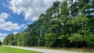 A two-lane road runs alongside a dense forest of tall pine trees under a partly cloudy sky, with green grass bordering the roadside.