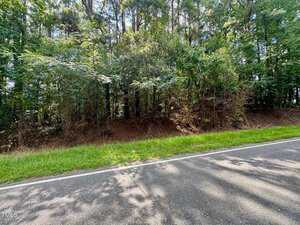 A paved road runs alongside a grassy verge and a dense wooded area with tall trees and green foliage under daylight.