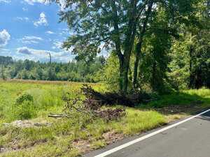 A pile of tree branches and debris lies near the edge of a rural road, with grass, bushes, and dense trees in the background under a partly cloudy sky.