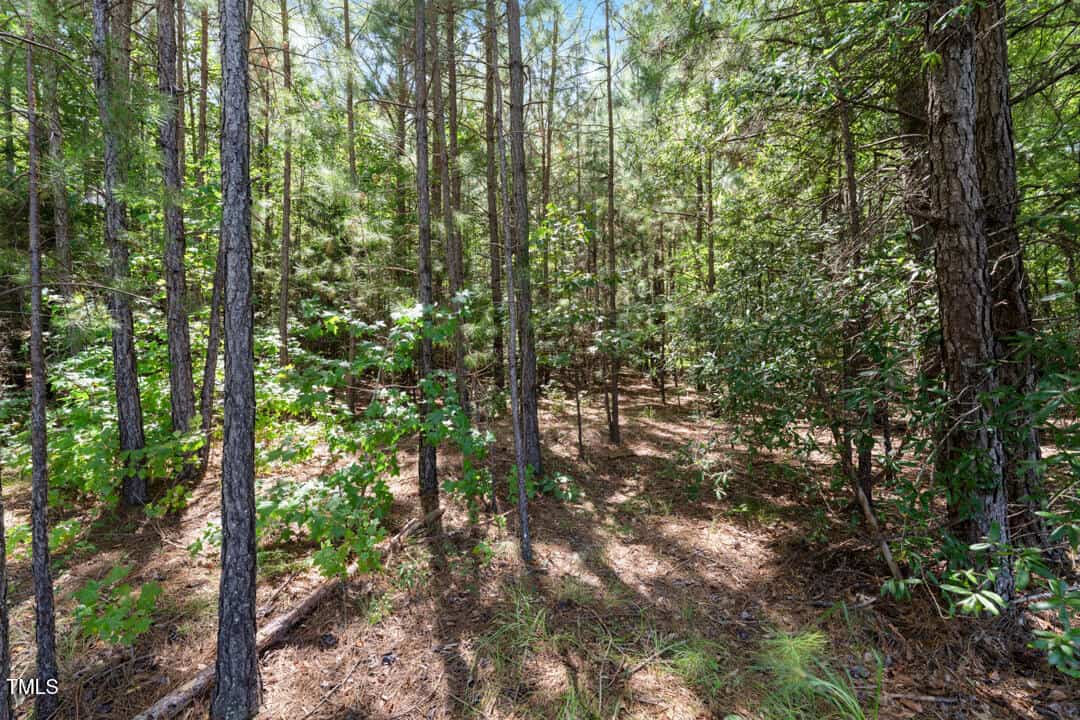4106 Wilson Town Road, Oxford, NC 27565