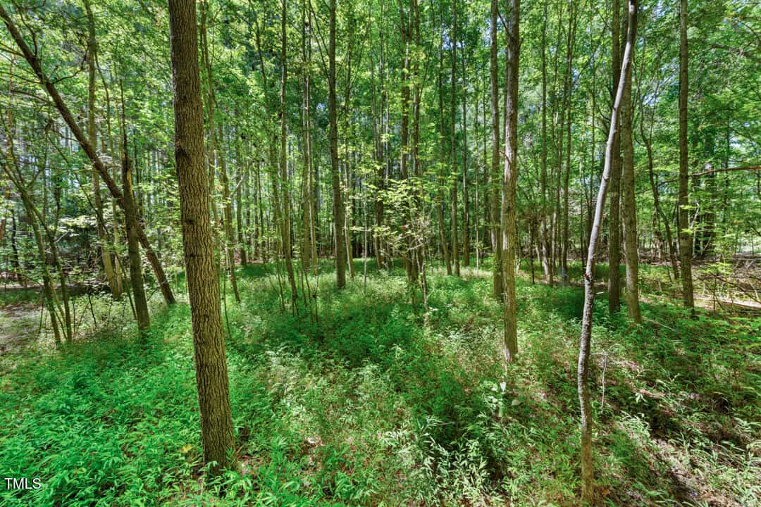 4110 Wilson Town Road, Oxford, NC 27565