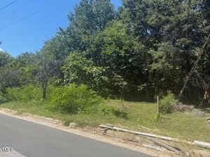 A paved road runs alongside a grassy, slightly overgrown lot bordered by dense trees and shrubs. A weathered wooden fence is visible in the foreground, and the scene is lit by bright daylight.