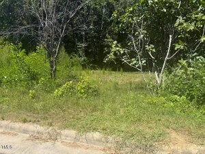 A grassy, overgrown lot with various green shrubs and trees is shown next to a concrete curb, with dense woods in the background under sunlight.