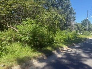 A sunny street with overgrown greenery and bushes along the roadside. Trees and vegetation fill the background, and a utility pole with power lines is visible on the right side. Shadows cover parts of the pavement.