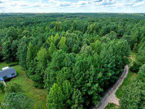 Aerial view of a dense green forest with a dirt road curving through it; a small blue house sits on a cleared grassy area to the left; sky is partly cloudy.