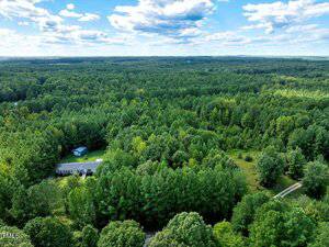 Aerial view of a large expanse of dense, green forest with a few scattered buildings and a winding road visible among the trees under a partly cloudy sky.