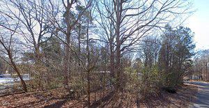 A wooded area with leafless trees and dense underbrush beside a paved road on 291 Pinewood Drive, Henderson; sunlight filters through the branches and patches of fallen leaves cover the ground.