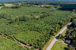 Aerial view of a dense, green forest with a two-lane road running along the edge. A few houses are visible near the road, and open fields can be seen in the distance.