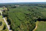 Aerial view of a large, densely wooded area with young trees, bordered by a road on the left and open fields in the foreground, on a clear day with blue sky and scattered clouds.