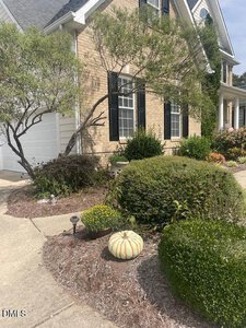 Front yard of a brick house with trimmed bushes, a small tree, mulch, and a white pumpkin with orange stripes near the walkway. The house has black shutters, white trim, and a section of white siding by the garage.
