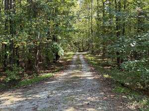 A gravel path runs through a wooded area with tall trees and green foliage on both sides, dappled sunlight covering parts of the trail and forest floor.