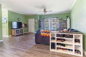 A living room with green walls, wood flooring, a dark sectional sofa, a TV on a stand, a bookshelf, a ceiling fan, and a white shoe rack filled with shoes near a sliding glass door.