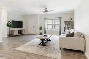A spacious living room with light-colored walls and wood flooring, featuring a gray sofa, a coffee table on a beige rug, a TV mounted on the wall, a bookshelf, potted plants, and a large window with gray curtains.