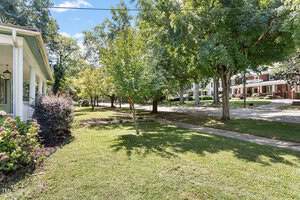 A neatly maintained lawn with shrubs and trees is shown beside a sidewalk in a residential neighborhood. Multiple houses are visible in the background, and the scene is lit by bright, natural daylight.