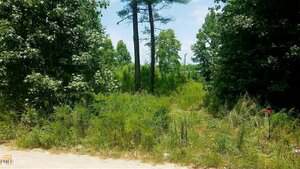 A dirt path leads through tall grass and dense green trees on a sunny day near 74 N Hacienda Lane in Henderson. The area is overgrown with vegetation, and a red marker is visible on a small post to the right of the path.