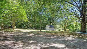 A small white storage shed with a dark roof stands in the middle of a spacious, grassy yard bordered by large trees under a clear blue sky. The area is partially shaded by the surrounding foliage.