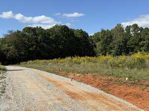 A gravel road curves to the left, bordered by red soil and patches of grass. Yellow wildflowers and green trees line the right side under a partly cloudy blue sky. Small white flags are scattered along the roadside.