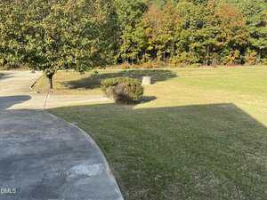 A concrete driveway curves next to a grassy lawn with a large tree, some bushes, and a utility box. In the background, there is a line of trees with autumn foliage. Shadows are cast on the grass.