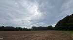 A wide, open field with freshly tilled soil sits under a cloudy sky on 1000 Club Pond Road, bordered by dense, dark green trees on two sides. The light is diffused by overcast clouds near Henderson.