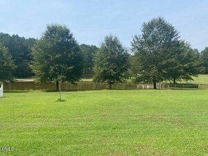 A grassy lawn with scattered trees in front of a pond, bordered by more trees in the background under a clear blue sky.