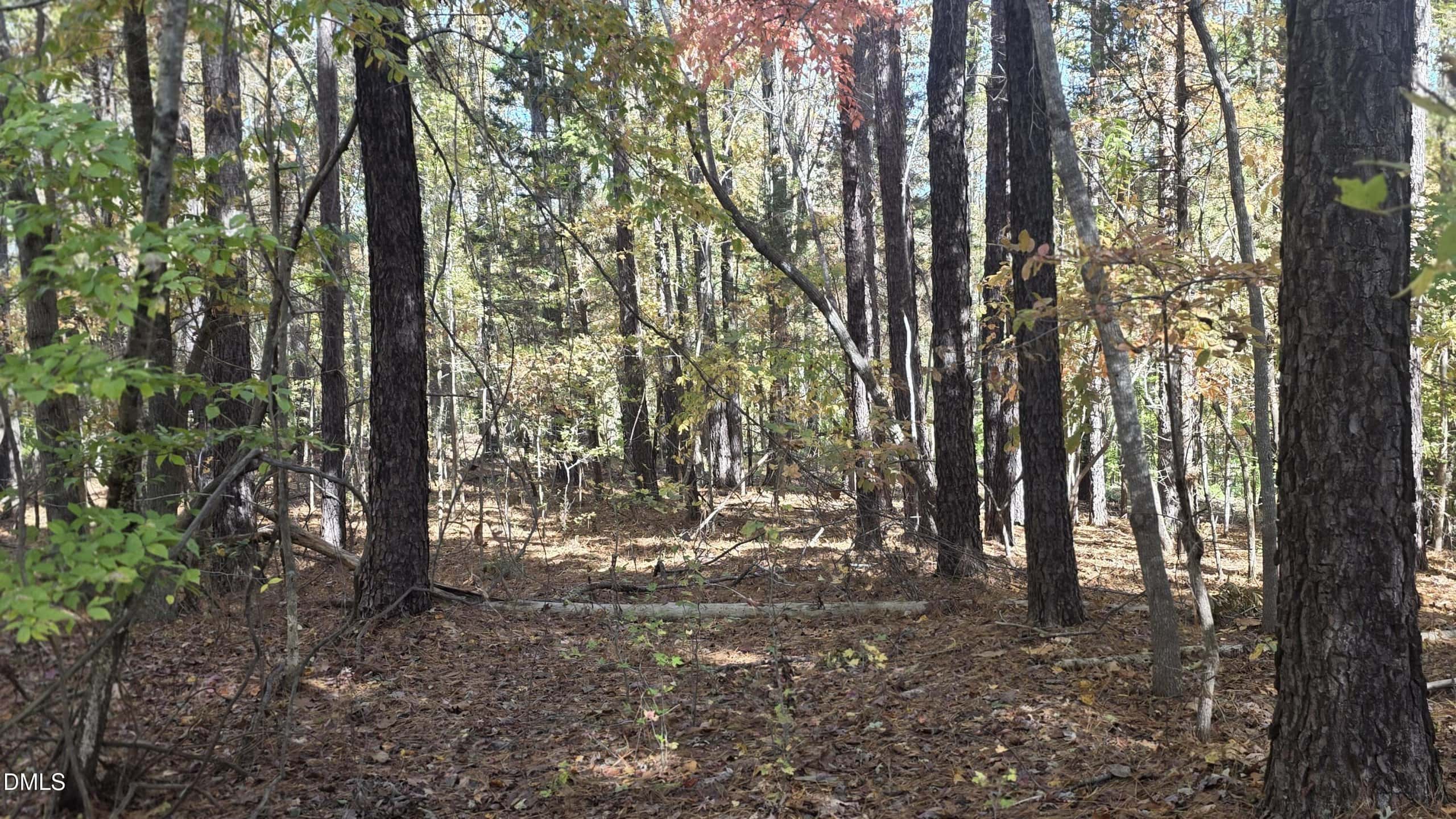 0 Krafft Corner, Kittrell, NC 27544