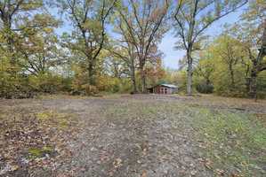 A small, single-story building with a green roof and red doors is surrounded by large trees with autumn foliage and stands in a clearing covered with fallen leaves and patches of grass.