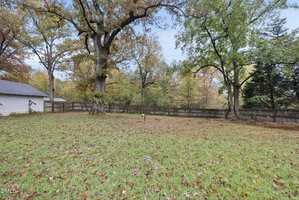 A grassy backyard with scattered autumn leaves, large mature trees, a wooden fence along the perimeter, and a small structure partially visible on the left side. The sky is clear with hints of clouds.