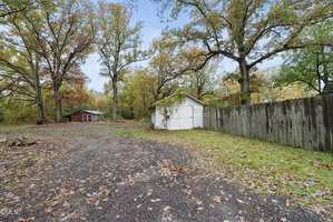 A backyard with a gravel and dirt ground, scattered fallen leaves, a wooden shed with white siding near a tall wooden fence, large mature trees with autumn foliage, and a red house in the background.