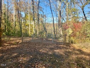 A metal gate blocks a dirt road covered in fallen leaves, surrounded by trees with autumn foliage. A yellow "Dead End" sign is posted on the right side near the gate.