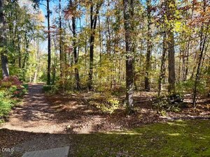 A wooded area with tall trees and autumn foliage. A dirt path runs through the forest, and sunlight filters through the leaves. The ground is covered with fallen leaves, and there is some moss in the foreground.