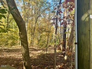 View of a wooded area with tall trees and fallen leaves covering the ground on a sunny day; a section of a vertical wooden post and pipe is visible on the right side of the image.