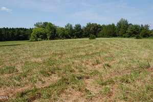 A grassy field with patches of dry, cut grass under a clear blue sky. Trees form a dense green border along the back edge of the field.