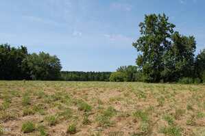 A grassy field with patches of dry grass under a blue sky stretches near 004 Keeton Road. Trees border the field in the background, including a few large bullock grazing by the big trees on the right. The weather appears clear and sunny.