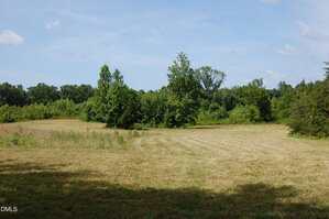 A grassy field with mowed lines curves gently toward dense green trees and shrubs under a blue sky with scattered clouds. Some areas of the field are in partial shadow.