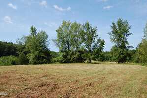 A grassy, partially mowed field with several tall green trees under a blue sky with scattered clouds. Dense woods are visible in the background.