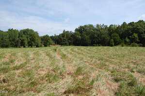 A grassy field with mowed rows curves into the distance, bordered by dense green trees under a partly cloudy sky.