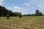 A grassy open field near 001 Keeton Road, Bullock, features scattered small trees and taller trees lining the background beneath a blue sky with scattered clouds.