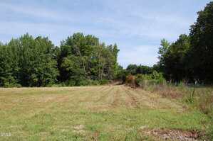 A grassy, open field bordered by dense green trees under a blue sky. There is a line of shrubs and a wire fence along the right side of the field, with utility lines visible overhead.
