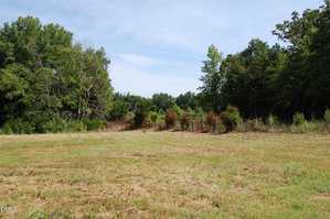 A grassy field with patches of dry grass in the foreground, bordered by dense green trees and shrubs under a partly cloudy sky. A wire fence runs along the edge of the field.