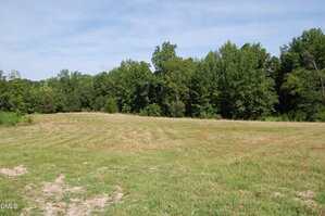 A grassy clearing with visible mower lines stretches across the foreground, bordered by dense green trees in the background under a partly cloudy sky.
