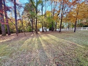 A grassy yard with several tall trees casting long shadows. In the background, there is a white fence and a white building partially visible among the trees. The scene appears to be taken in autumn.