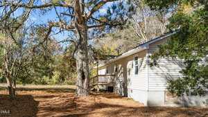 A single-story house with beige siding and a small porch is surrounded by tall trees and brown pine needles covering the ground. The area appears quiet and rural, with clear skies and sunlight filtering through the branches.