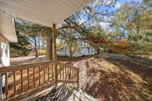 View from a wooden porch and stairs showing a backyard with pine trees and a white house or shed in the background on a sunny day. The ground is covered with pine needles and there are shadows from the trees.