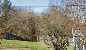 A grassy yard with a bush in the foreground, a wooden fence, and leafless trees in the background. A yellow road sign with a left arrow is on the left side, and a utility wire runs across the top.