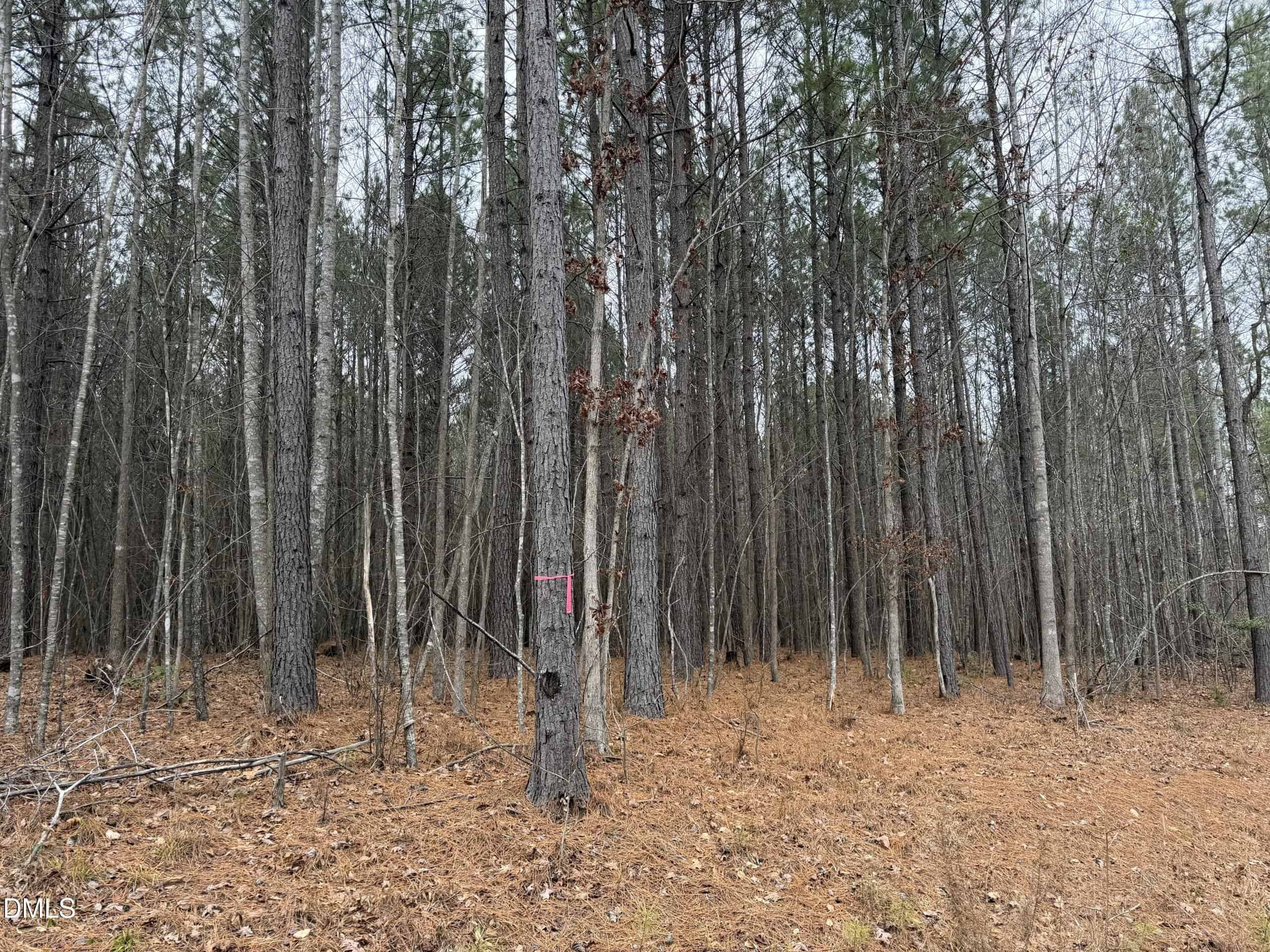 1652 Garrett Farm Road, Stem, NC 27581