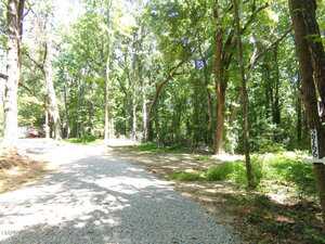 A gravel road curves through a wooded area with tall green trees. Sunlight filters through the branches. A sign with the number 2766 is attached to a tree on the right side of the road.